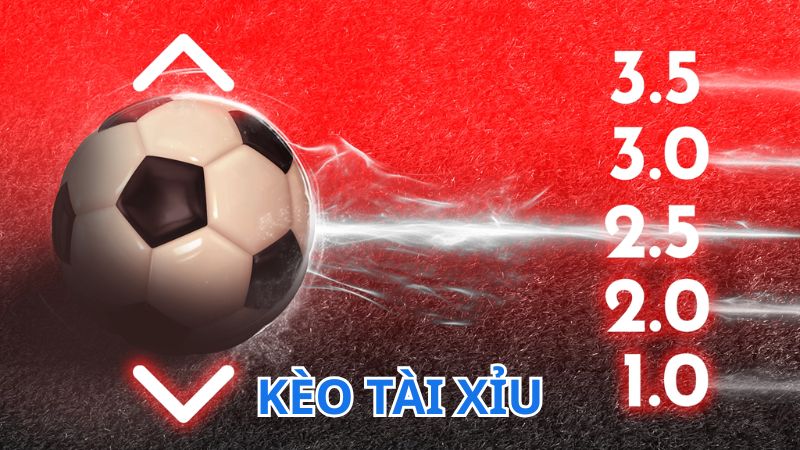 Tìm hiểu về kèo cược tài xỉu