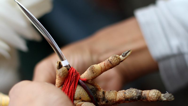 Kinh nghiệm chơi từ chuyên gia